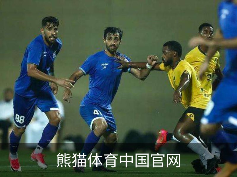 熊猫体育中国官网简介